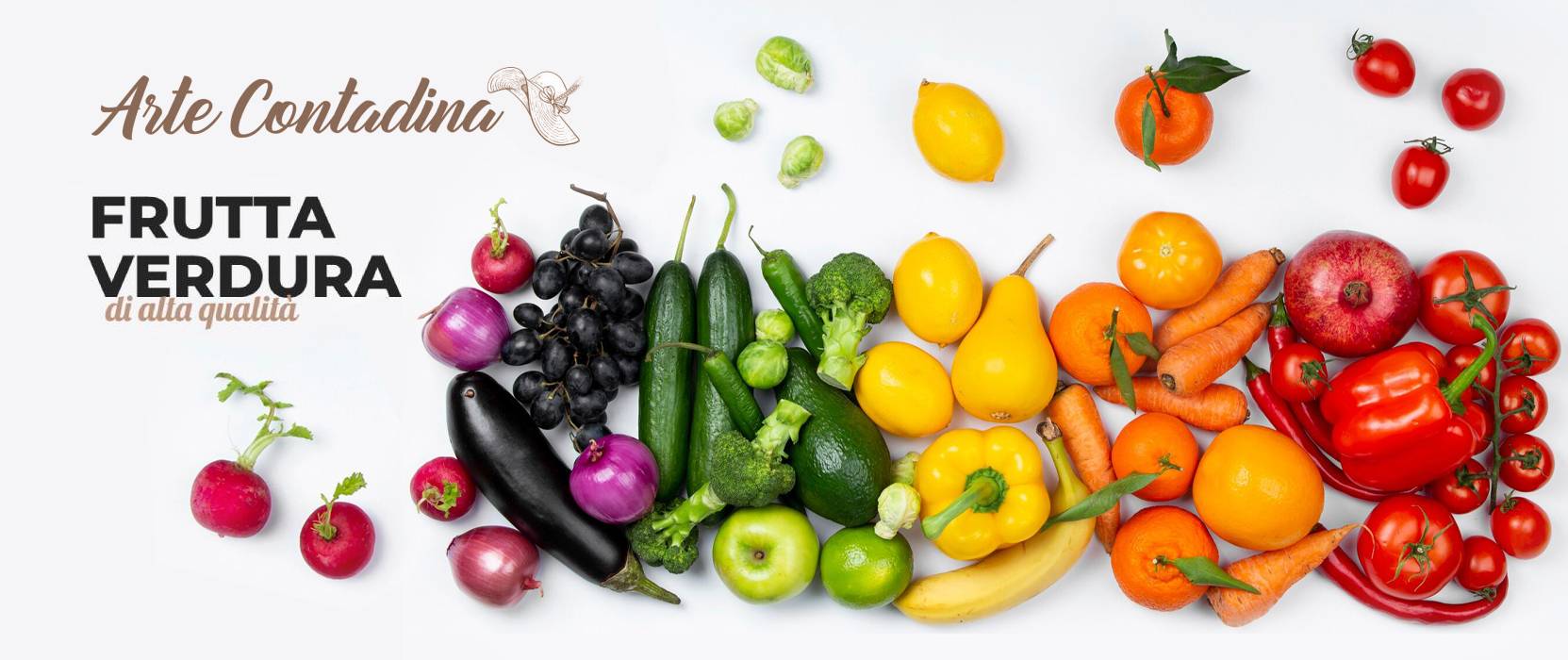 Contattaci per il servizio di fornitura di frutta per ristoranti in Valsesia  di Arte Conatdina